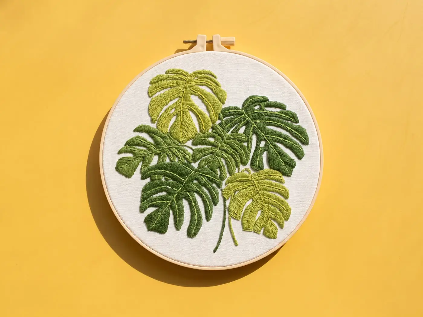 Kit Feuilles de monstera